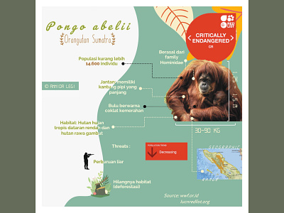 The Sumatran Orangutan graphic design illustration