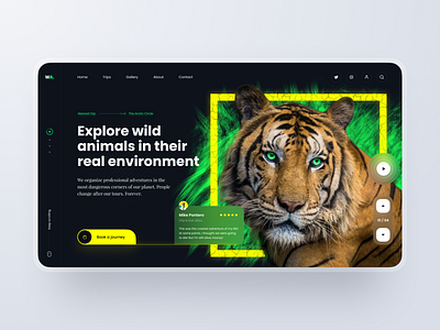 Landing Page: Dangerous Tours animals concept journey landing landingpage nature page tiger tours travel website wild