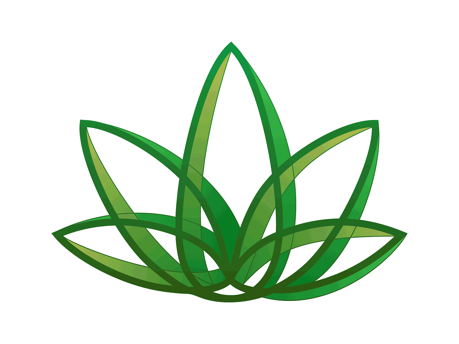 leaf logo for dispensary branding design icon illustration logo vector