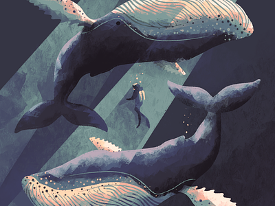 Whales diver illustration ocean procreate scuba texture water whale whales