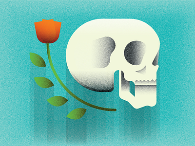 Skull and Rose bone flower head illustration rose shadows skeleton skull texture