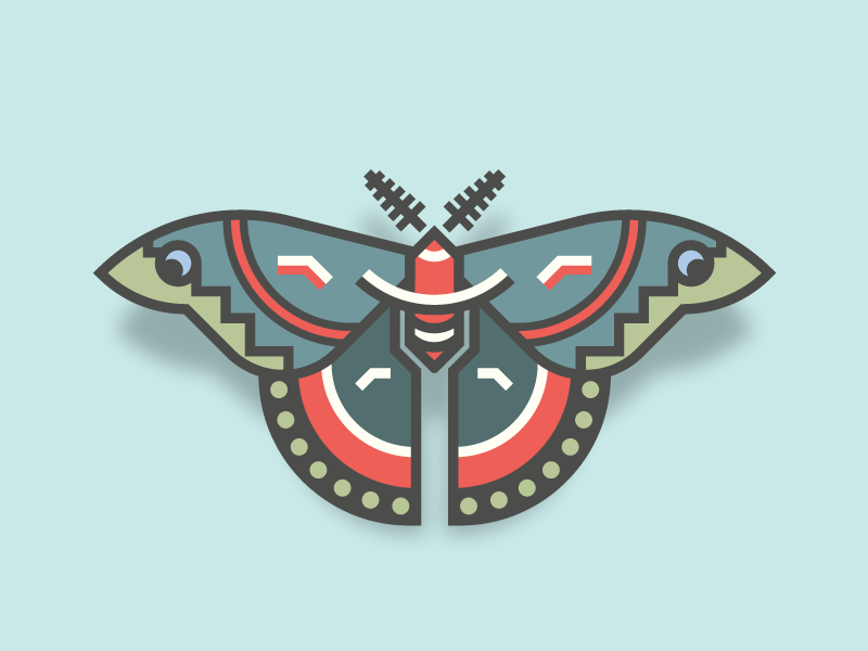 Cecropia Moth (26/365) by Tatiana Bischak on Dribbble