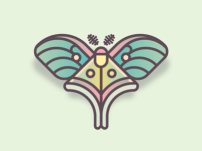 Luna Moth (29/365) bug butterfly daily design design series insect luna luna moth moth wings