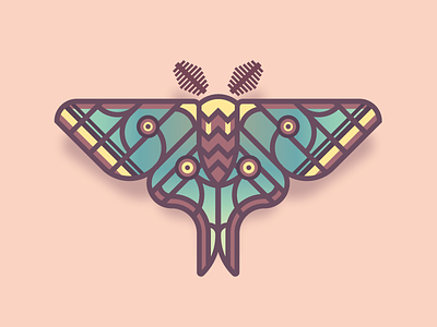 Spanish Moon Moth (30/365) bug butterfly daily design design series insect moon moth moth spanish spanish moon moth wings