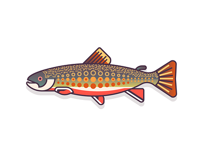 Brown Trout (49/365) brown trout colorful daily design design series fish fishes fishy gradients lake river trout water