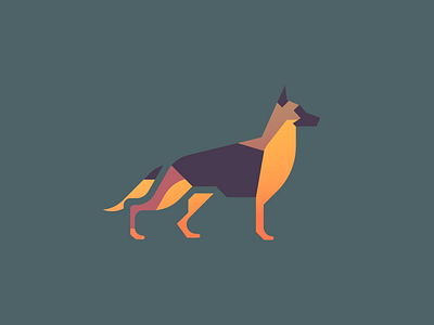 German Shepherd (89/365)