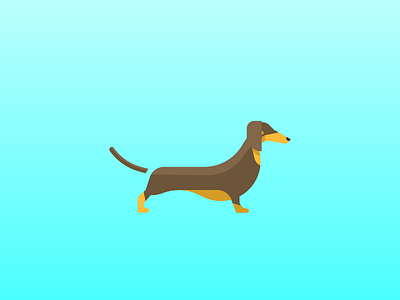 Dachshund (99/365)