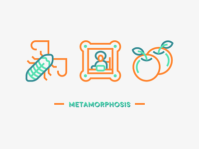 Metamorphosis (110/365)