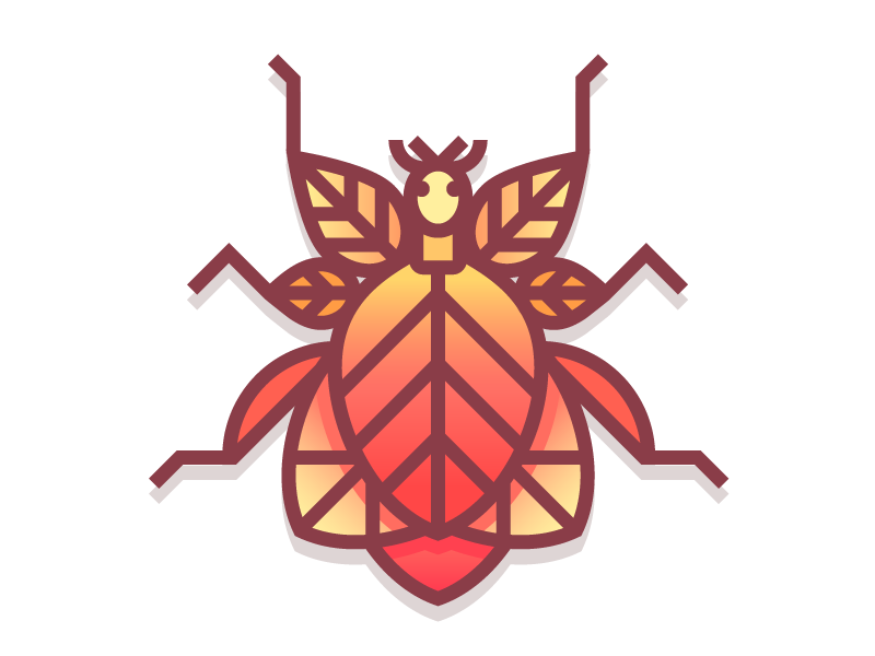 Leaf Insect (199/365) by Tatiana O'Toole (Bischak) on Dribbble