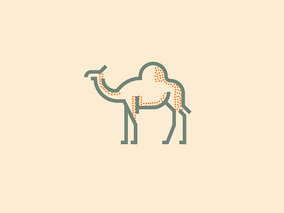 Camel (241/365)