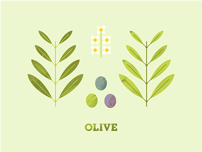 Olive flower flower illustration illustration leaf leaves olive olives plant plant illustration seed texture tree