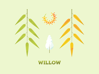 Willow flora flower illustration illustration art leaf leaves plant plant illustration seed texture tree willow