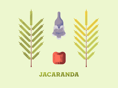 Jacaranda flora flower illustration illustration art jacaranda leaf leaves plant plant illustration seed texture tree trees