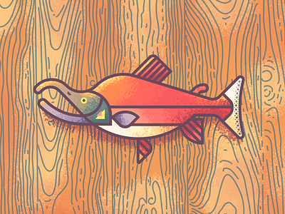 Sockeye Salmon Revisit: Texture fish illustration mount retrosupplyco salmon sockeye texture trophy