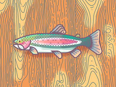 Rainbow Trout Revisit: Texture fish grain illustration rainbow retrosupply texture trout wood
