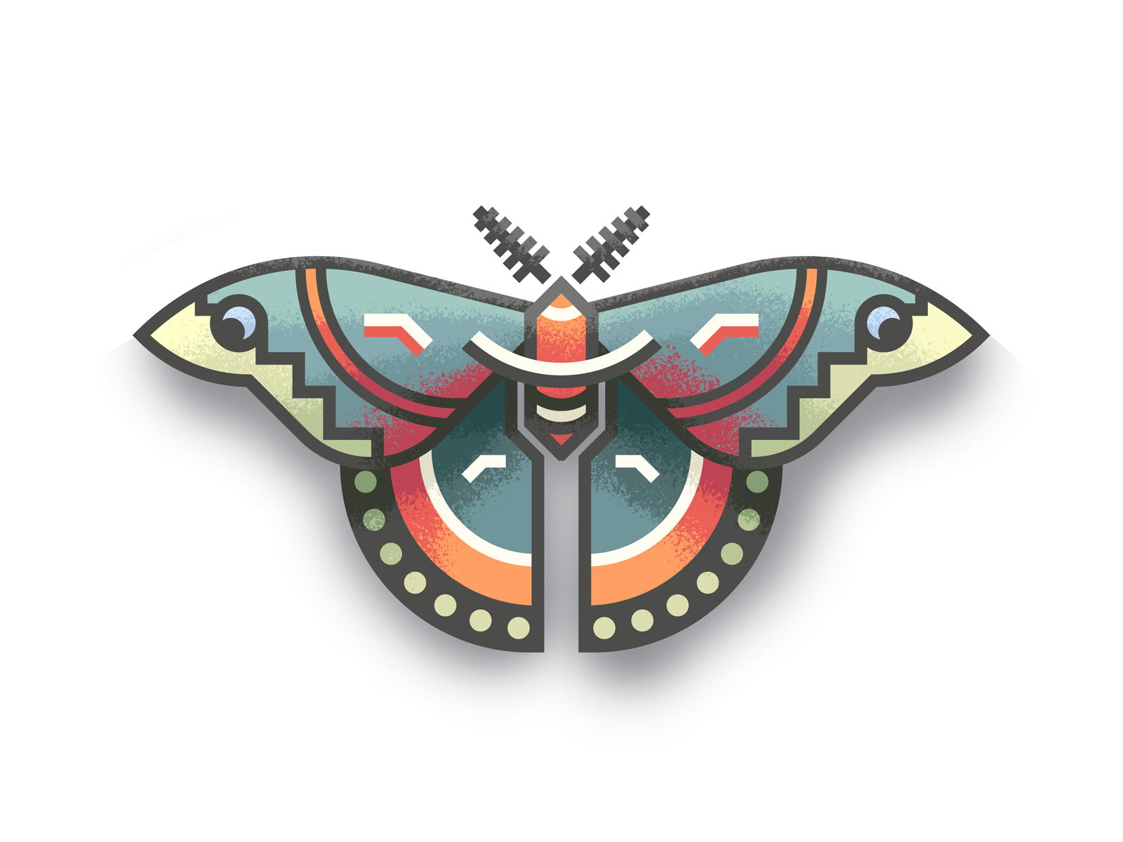 cecropia moth tattoo  Clip Art Library