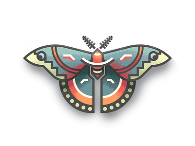 Cecropia Moth Revisit: Texture butterfly cecropia illustration insect moth retrosupply texture