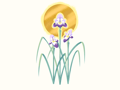 Iris flower illustration iris retro supply texture