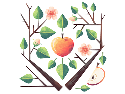 Apple botanical botanical illustration flower fruit illustration illustrator procreate tree