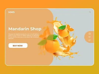 Mandarin Shop Shot branding design graphic design typography ui web design