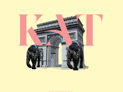 KAT branding graphic design logo ui