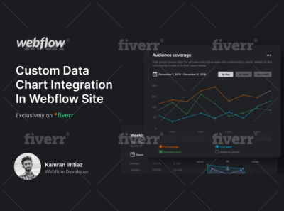 Webflow designer