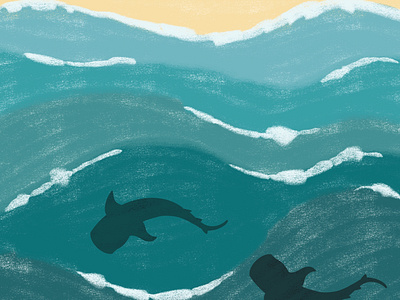 Illustration - Sharks in the ocean design graphic design illustration