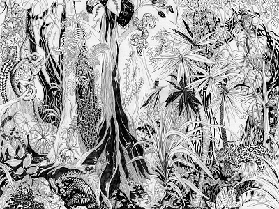 rainforest black and white drawings