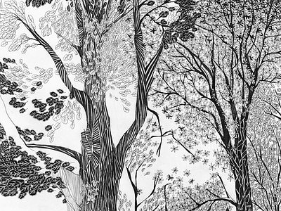Forest illustration black and white drawing forest illustration tree