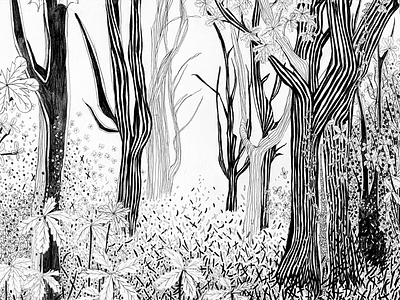 Forest illustration 2 abstract black white graphic art handdrawn illustration line art nature pencil drawing tree