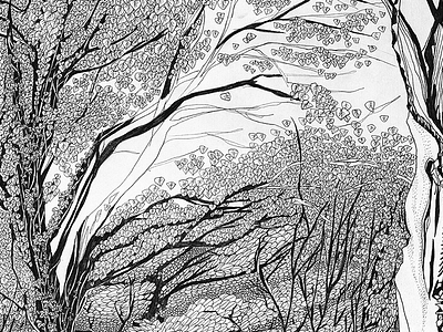 Forest Panorama illustration, part 3 art black and white drawing forest graphic handdrawn illustration pencil tree