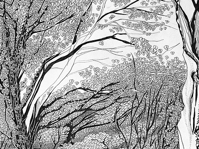 Forest Panorama illustration, part 3