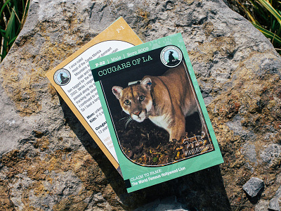 Trading Card Design: National Wildlife Federation
