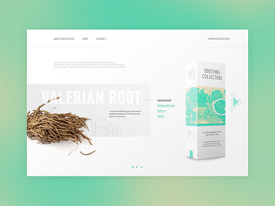 Day 003 Landing Page