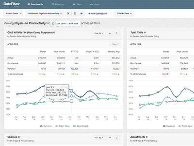 Physician Analyzer Dashboard - DataRiver analytics charts dashboard data healthcare