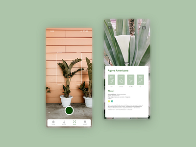 Plant Identifier Garden Web App Concept app branding camera design figma plants ui ux