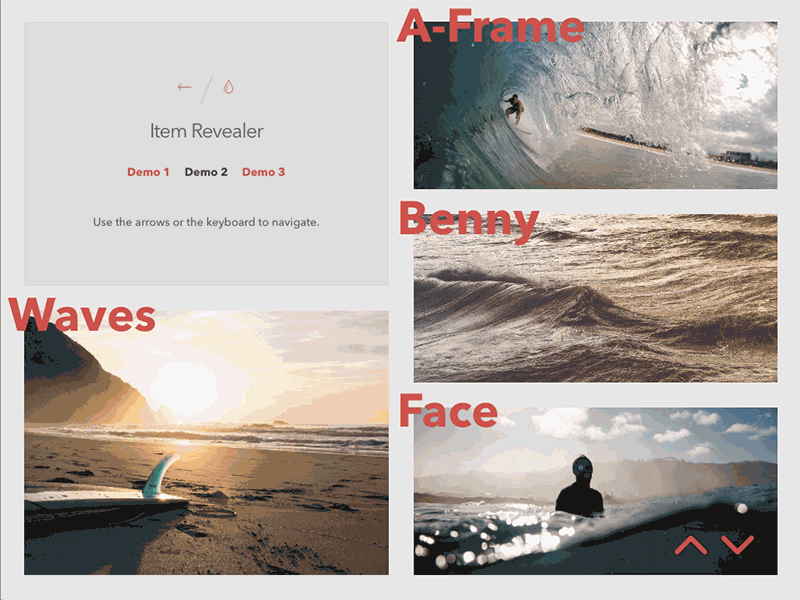 Item Reveal Animations with SVG (Demo 2) animation css effect html image grid javascript loading