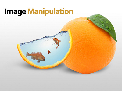 Manipulation adobe illustrator adobe photoshop animation design graphic design illustration logo motion graphics vector