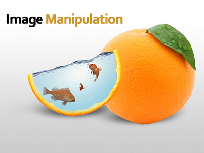 Manipulation