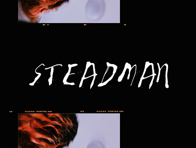 Steadman font branding design illustration typography