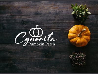 Cynorita Pumpkin Patch 3d animation branding design graphic design illustration logo motion graphics ui vector
