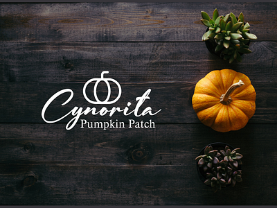 Cynorita Pumpkin Patch 3d animation branding design graphic design illustration logo motion graphics ui vector