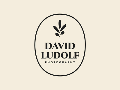David Ludolf - Olive Photographer Brand brand identity leaf logo mark olive photographer plant