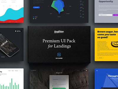 Singleton: Huge UI Pack for Landings