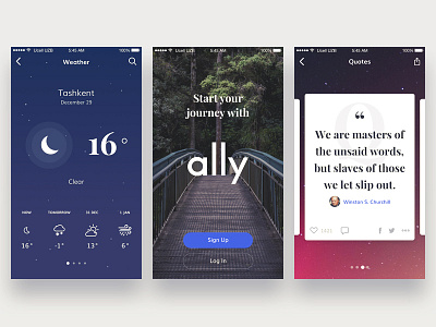 Ally UI Kit mobile ui kit