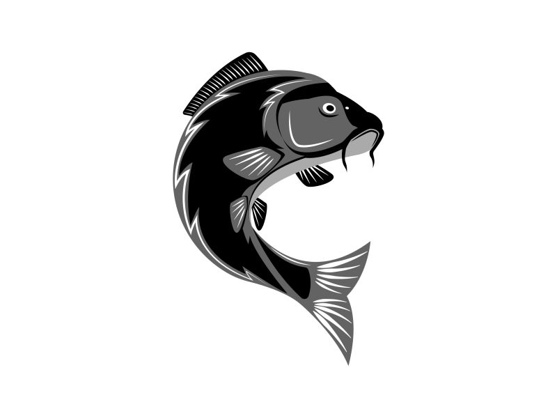 Carp logo fish by Sergii Syzonenko on Dribbble