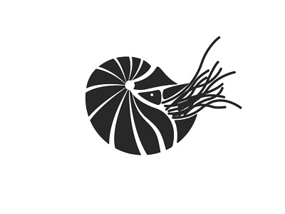 Silhouette chambered nautilus illustration