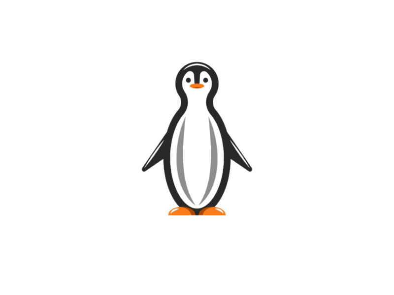 Character cute cartoon penguin by Sergii Syzonenko on Dribbble