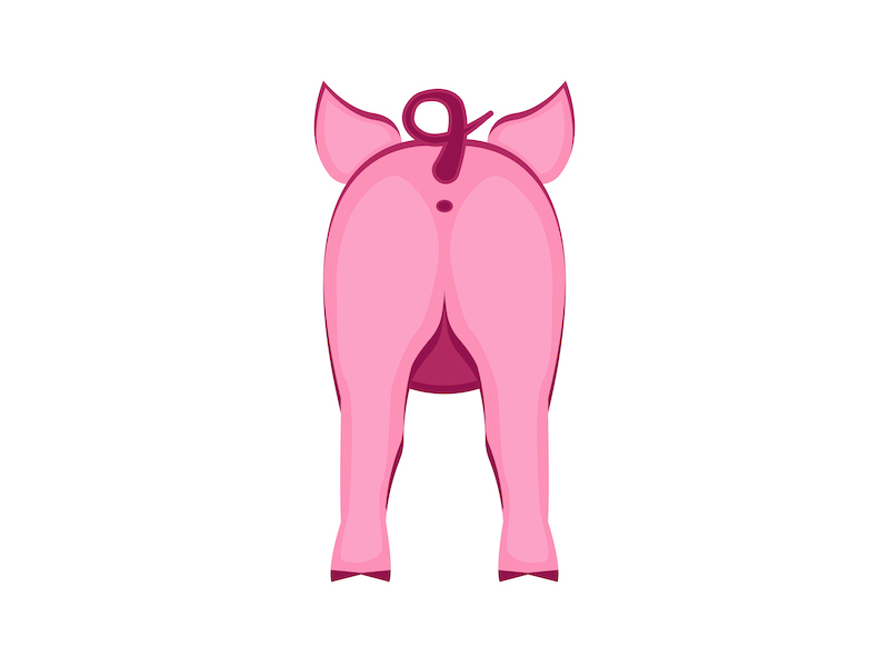 Pig Ass animal cartoon character character character design design funny illustration pig piggy pink vector