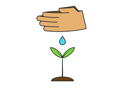 Human hands watering a young plant.